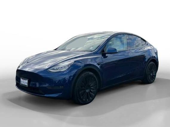 TESLA MODEL Y 2021 5YJYGDEE3MF062526 image